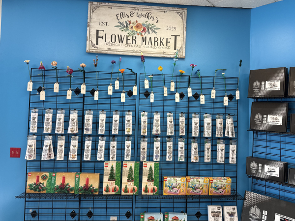 bins of Lego® pieces at Bricks and Minifigs store