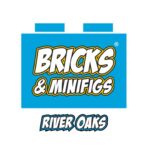 Bricks & Minifigs River Oaks Houston