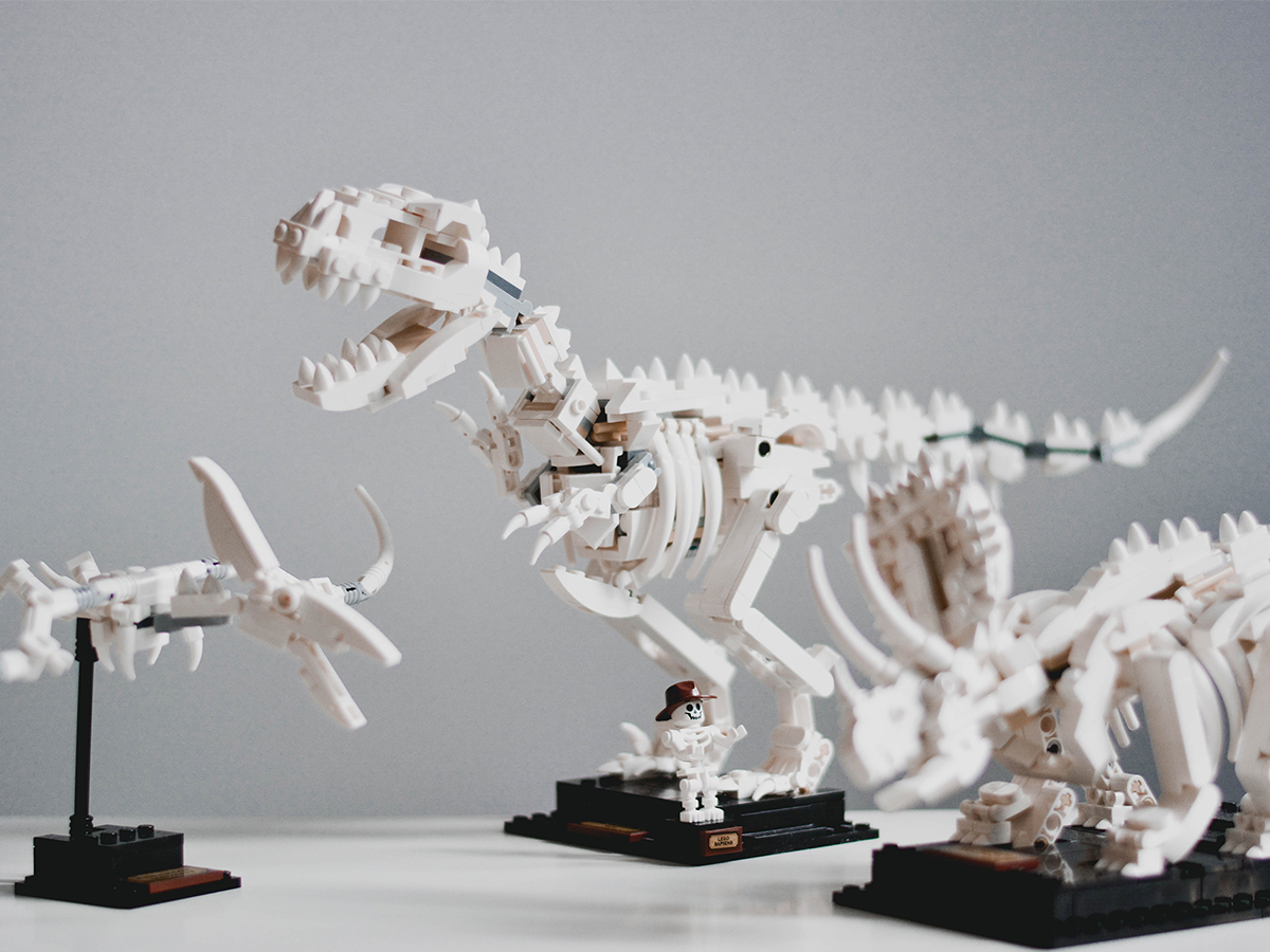 Lego dinosaur fossil set