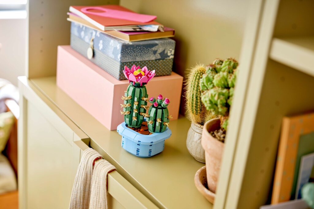 A LEGO® cactus on a bookshelf next to live cacti and a set of boxes.