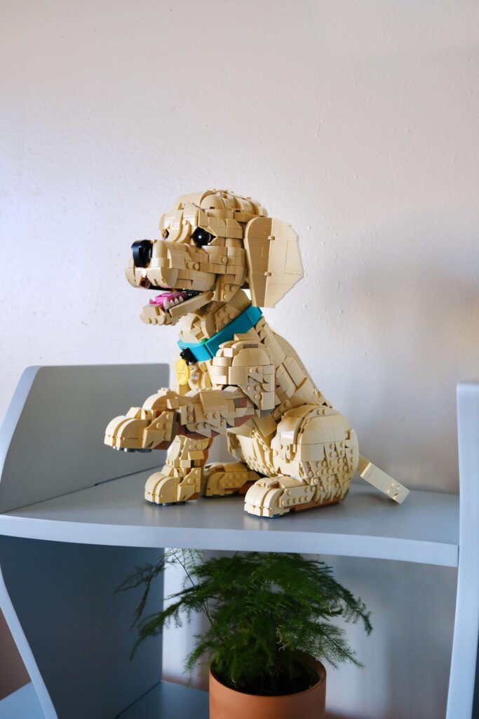 The Golden Retriever Puppy LEGO® set on a shelf above another shelf with a potted plant.